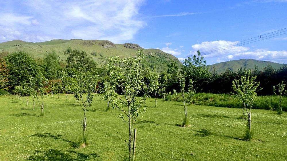 Balbeg Cottage Straiton Kültér fotó